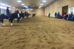 2015 March Reining Clinic