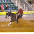 &nbsp; Martin Audet started riding reining horses when he was 14. He has a degree in Equine Science from La Pocatiere in Quebec where he was trained in all equine...