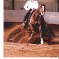 Maya Stessin has recently re-joined the Chapman Reining Horse team after completing her Master’s degree in Equine Science at Montana State University. Maya started riding when she was six years...