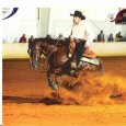 Crownroyal On Rocks A Smart Enterprise x Ms Red Capri lifetime earnings of $4,649.67 with limited showing Multiple bronze trophy winner Reserve Champion at The Tradtion in the Novice Horse...