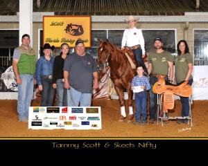Tammy Saddle Picture