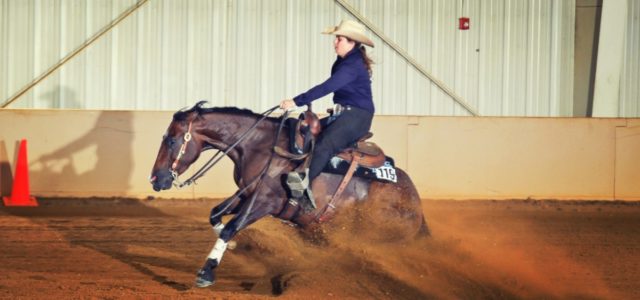 Welcome Emily! Chapman Reining Horses would like to welcome new trainer Emily Sgarrella! Starting her winning ways with the best! Welcome aboard!