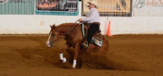 2019 NRHA World Champion Limited Non Pro! Chapman Reining Horses and Rising Star Farm congratulate Shannon Snyder showing his horse Fancy Dual Train. 2019 NRHA World Champion Limited Non Pro!!