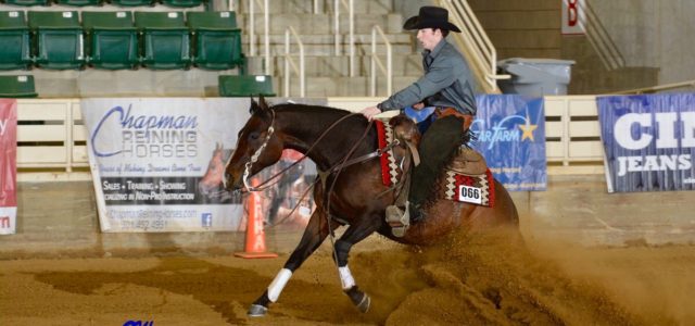 High Point Rookie Professional! Congratulations to Austin Morris showing Brindolena, owned by Elizabeth Richards of Columbia, MD. High Point Rookie Professional at the VRHA March Into Spring Show.