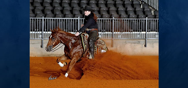 Carolina Classic Champion! Congratulations to Mandy Yarbrough and Gunners Shining Star, Champion in the Open Level 2 and tied for 3rd in the Open Levels 3 and 4 at the 2019 Carolina Classic.