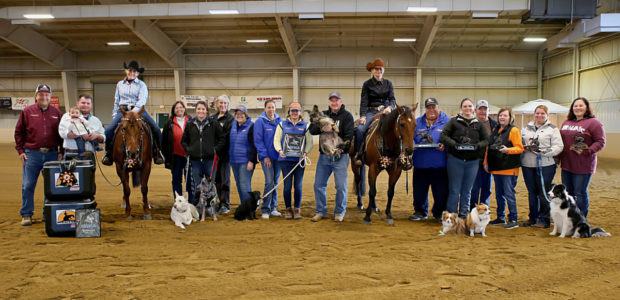 Chapman Non Pros make a clean sweep of the EPRHA Fall Spooktacular! Tracey Showman riding A Chic Surprize was Champion in the 7-UP Non Pro Derby and Kim Wolfe riding RC Fancy Chic was Reserve Champion in Levels 4 and […]