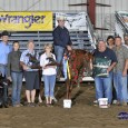 Chapman Reining Horses would like to congratulate the following trainers on their placings at the NERHA Super Slide In show: Martin Audet was the Champion in the Open Level1 and […]