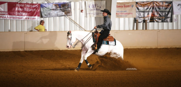 Chapman Reining Horses would like to congratulate the following people on a very successful weekend at EPRHA: Megan Snyder riding Lil Miss Red Pine: Co-Champion Green horse on Friday, Won […]