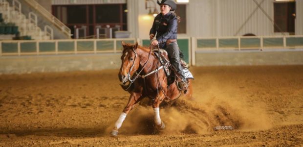 Good luck to Amanda Yarbrough and Nite Lee Special at the NRHA Futurity! Related posts: EPRHA Reining Thunder Futurity Winner! Good luck at the AQHA World Championship! Chapman Reining Clinic […]