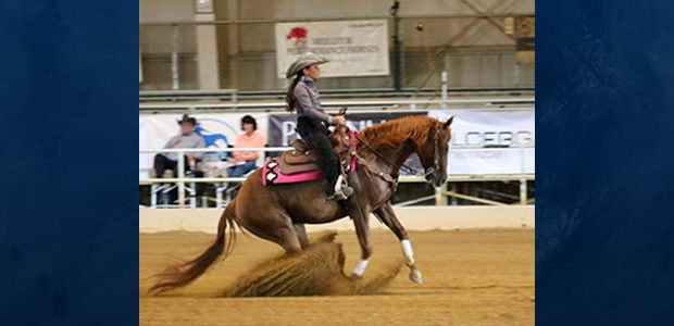 NRHA Northeast Affiliate Short Stirrup Champion! Chapman Champions Strike Again…Brianna Villegas, riding her mare Conquista Annie, is the NRHA Northeast Affiliate Short Stirrup Champion in her first year showing!
