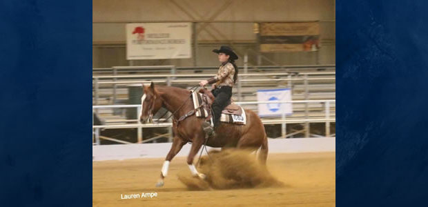 Brianna Villegas riding her horse Conquista Annie won the Youth Rookie this past weekend at the EPRHA Spring Dream show in New Jersey. We are so proud of how this […]